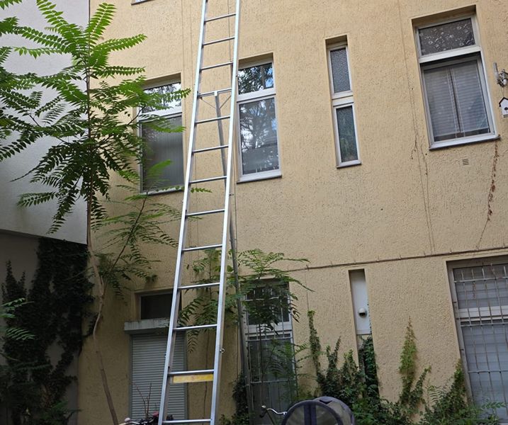 Hinterhof mit gelber Fassade, mehreren Fenstern, einer langen Leiter, die an der Wand lehnt, und Bäumen sowie Sträuchern im Vordergrund